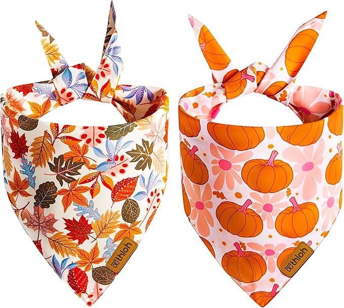Fall Dog Bandanas - 2 Pack Halloween Thanksgiving Dog Bandana | Reversible Pumpkin and Leaf Pet Scarf | Premium Fabric | Boys & Girls | Holiday Bandana for Large and Extra Large Dogs (X-Large)