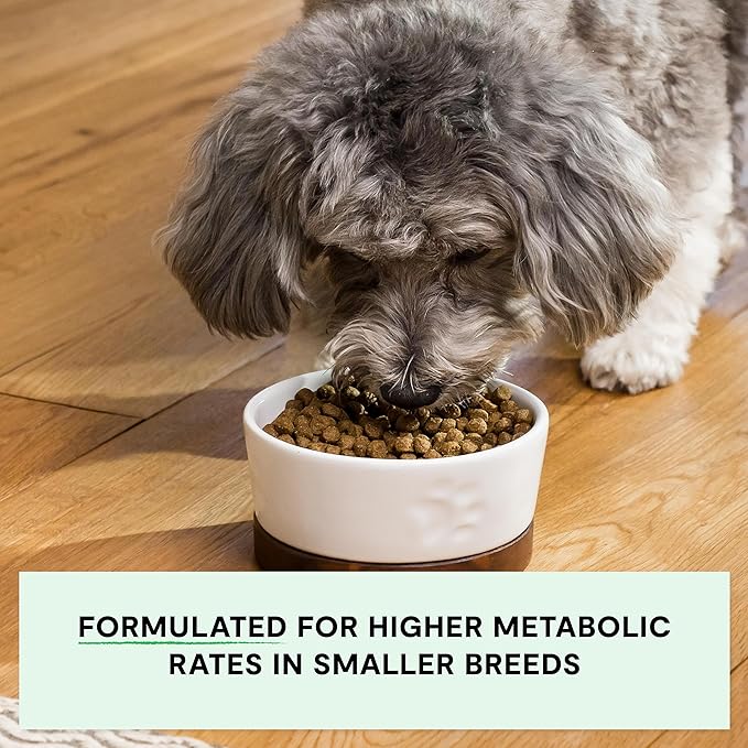 Open Farm, Grain-Free Dry Dog Food for Small Breeds, High-Protein Kibble, Sustainably & Ethically Sourced Ingredients, Non-GMO Veggies & Superfoods, Chicken & Turkey Recipe for Small Dogs, 4lb Bag