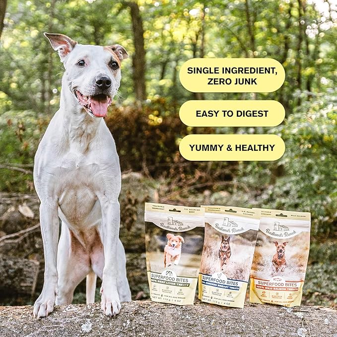 Superfood Bite, Freeze-Dried Raw Dog Treats - Protein Rich, Train & Reward, Traceable Single Ingredient by Katherine Heigl (Chicken Breast)