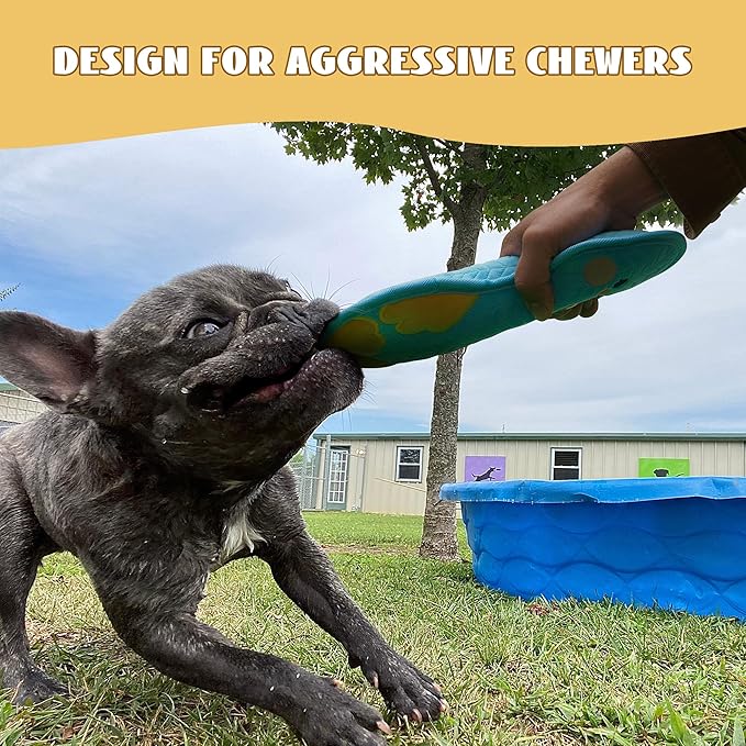 Nocciola Duck Squeaky Dog Toy, New 2025 Indestructible Dog Toy for Aggressive Chewers, Stuffed Toy with Two Tough Layers, Soft Minky Plush for Comfort and Chewing, Blue