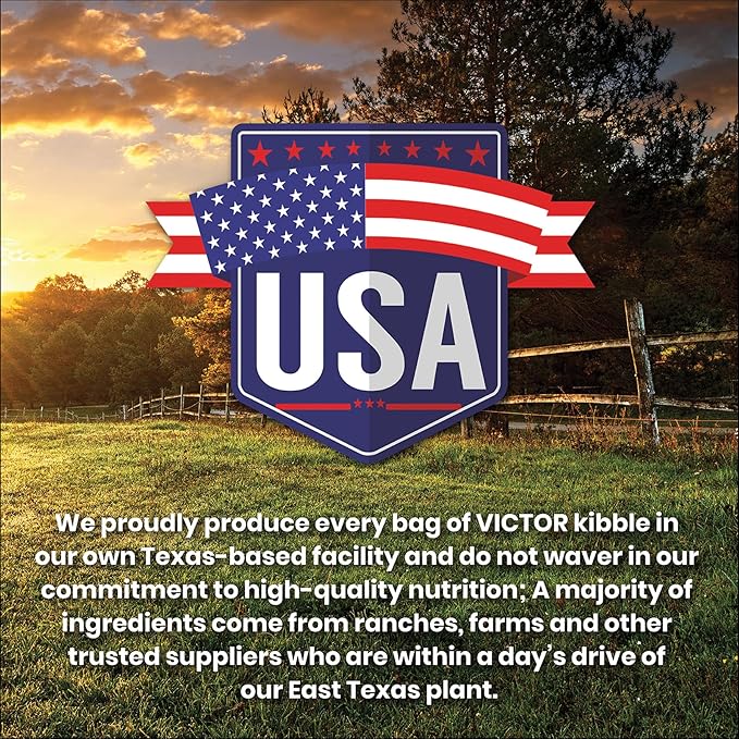 VICTOR Super Premium Dog Food — Sensitive Skin and Stomach — Salmon Meal & Brown Rice Recipe Dry Kibble — Gluten Free, No Chicken, Ideal for Dogs with Allergies — Adult and Puppy Food, 30 lb