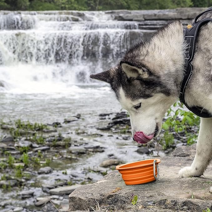Mighty Paw Collapsible Travel Dog Bowl Set - Silicone Food and Water Bowls - Bonus Carabiner Clip - Ideal Hiking - Camping - Walking - Lightweight - Leak-Proof Dog Set - Orange - 2 Pack (27 oz)