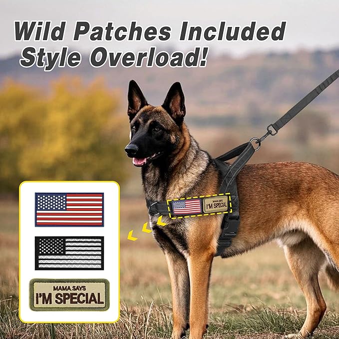 Forestpaw No Pull Dog Harness with Large Handle,Slip on Reflective Vest with Quick Release Buckle,Comfortable Flannel Lining for Medium Large Dogs Walking Training (Includes 3 Patches),Black XL