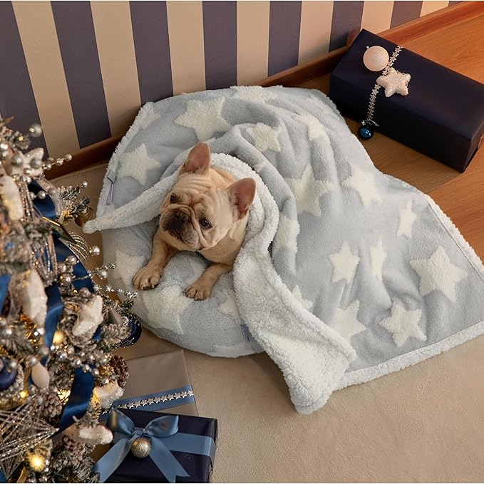 Lesure Waterproof Dog Blanket for Medium Dogs - Washable Double Sided Dog Blankets with Warm Jacquard Shag and Soft Sherpa Fleece, Pet Cat Blanket for Couch Protection, 3D Textured Star, Grey