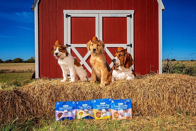 N-Bone Puppy Teething Rings Taste of Texas Pulled Pork Flavor 3 Count