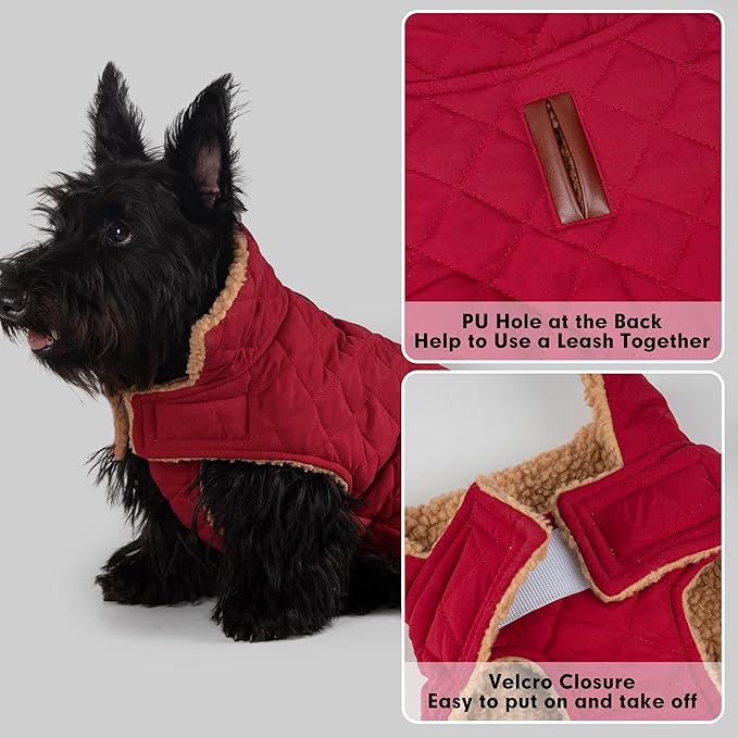 azuza Dog Jacket for Medium Dogs Waterproof & Windproof Dog Coat for Small Dogs with Thick Fleece, High Collar with Leash Hole, Adjustable Velcro & Elastic Belly, Red 2XL