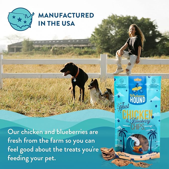 Just Chicken & Blueberry Chips | Two Premium Ingredient & Healthy Dog Treats Rich in Antioxidants | All Natural Canine Rewards | All Breed Sizes Dog Training Treats | Made in USA - 7oz