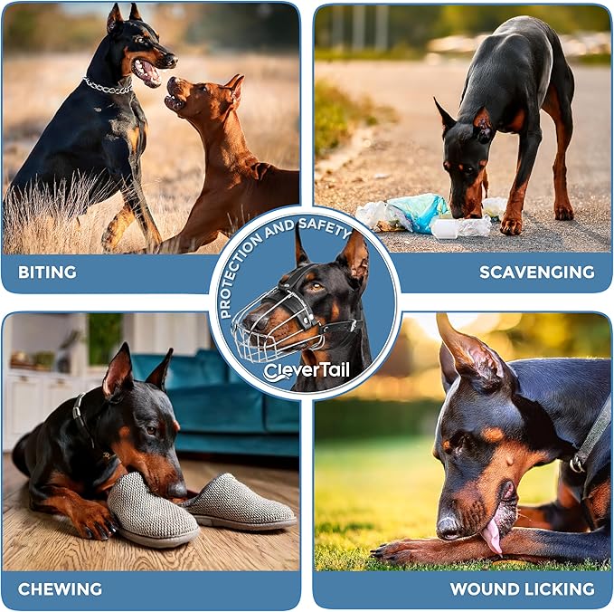 Metal Doberman Muzzle for Large Sized Dog - Cage Muzzles for Barking and Prevent Biting - Steel Wire Basket Muzzle for Medium and Large Dogs Doberman, Collie, Belgian Malinois, Husky etc.