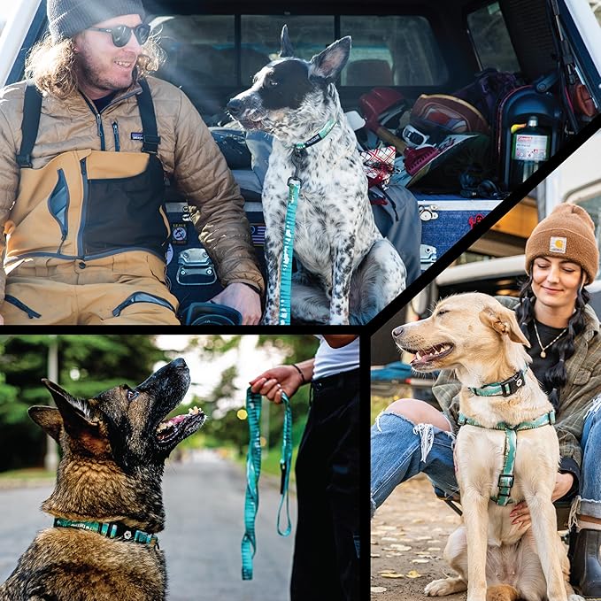 Wolfgang Heavy Duty Adjustable Dog Harness, Pull-Tested to Over 800 lbs for Walking & Training, GreatEscape Print, Small