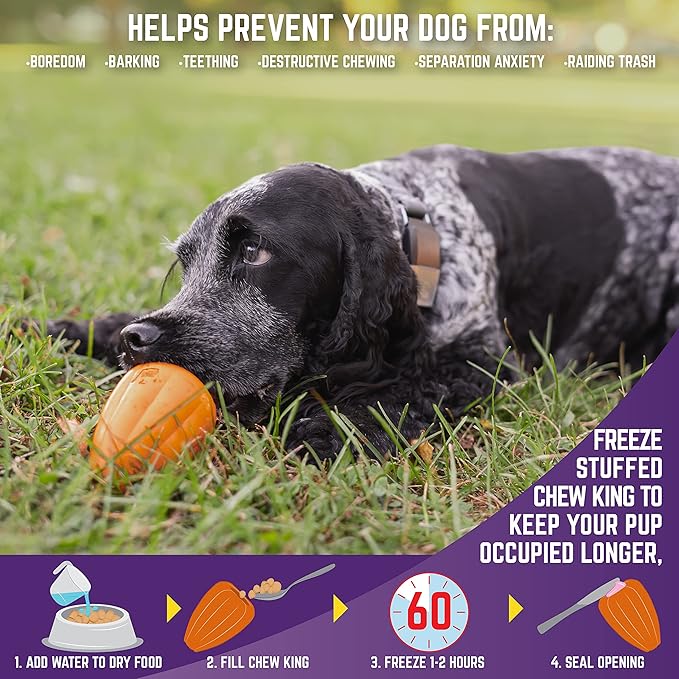 Chew King Premium Treat Dog Toy, Extremely Durable Natural Rubber Toy, Bacon Flavored Dog Toy Orange Medium