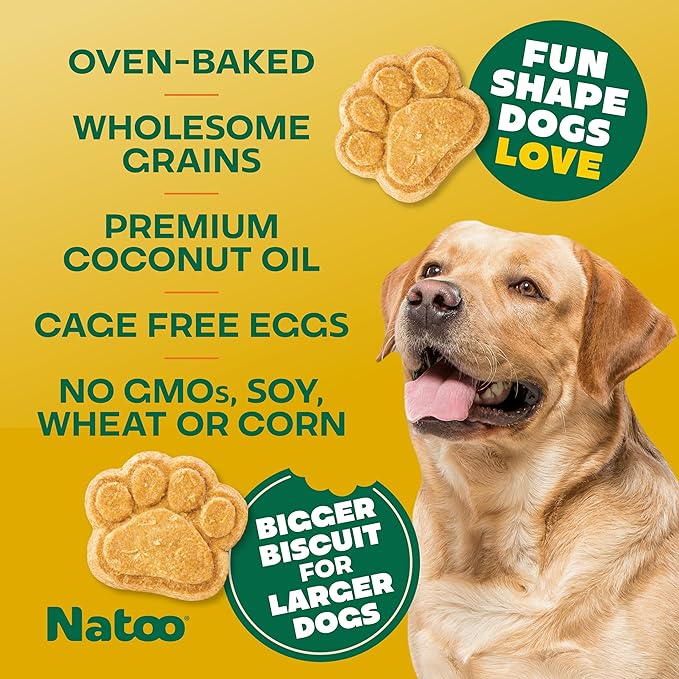 NATOO Healthy Treats for Large Dogs, Crunchy Biscuits Coconut & Mango Flavor – Natural Dog Treats, Rich in Omega 6, Prebiotics & Fibers, Antioxidants for Immunity (8 oz)