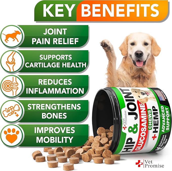 Vet Promise Hemp Hip and Joint Support Supplement for Dogs - Glucosamine for Dogs - Hemp Oil, MSM, Chondroitin - Support for Joint Pain Relief and Health - 120 Soft Chews - Made in USA