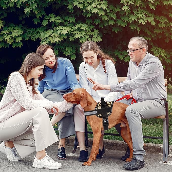 Dogline Dog Harness, Reflective No-Pull Adjustable Vest with Handle for Walking, Training, Breathable, No - Choke Harness for Small, Medium or Large Dogs Room for Patches Leopard Brown XS 15"-18"