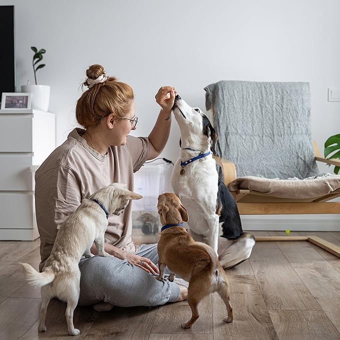 Exclusively Dog Chewy Training Treats Bacon Apple Flavor Grain Free Gluten Free, Made in The USA, 6 oz.