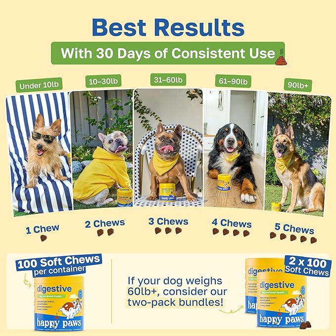 Happy Paws Digestive Supplement for Dogs, Gut Health & Immune Support for All Breeds & Ages, Made with Probiotics, Enzyme Blend & Ginger Root, Pumpkin Flavor, Organic, Non GMO, 200 Soft Chews
