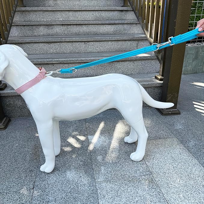 Double Ended Dog Leash,for Obedience Training Easy to Use,Lightweight,Soft for Large and Medium Dogs (Blue, 1M*2.5CM)