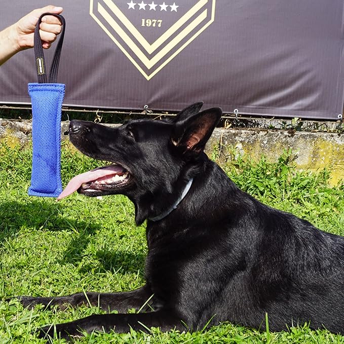 Dingo Gear French Linen tug Toy for Dog, Bumper Toy for Training, Agility, tug of war, bite Pillow for Strong Dog, 1handle 11in Blue S00061