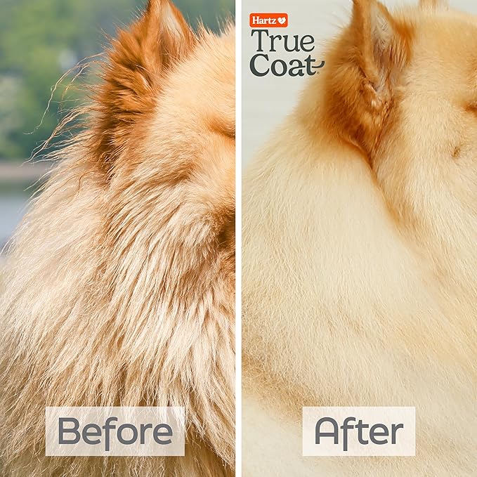 New! Hartz True Coat Thick Coat Specific Dog Shampoo, Desheds & Softens with Oat Milk, Coconut Oil & Aloe