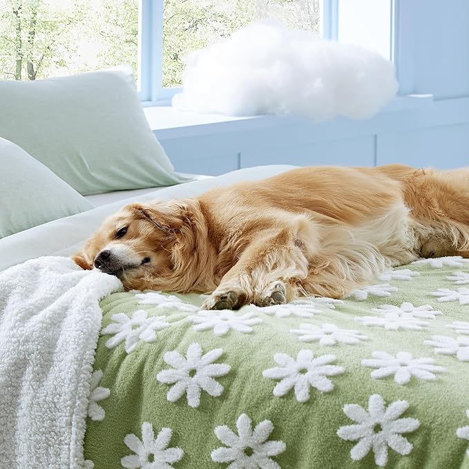 Lesure Waterproof Dog Blanket for Large Dogs - Washable Double Sided Dog Blankets with Warm Jacquard Shag and Soft Sherpa Fleece, Pet Cat Blanket for King Bed Protection, 3D Textured Flower, Green