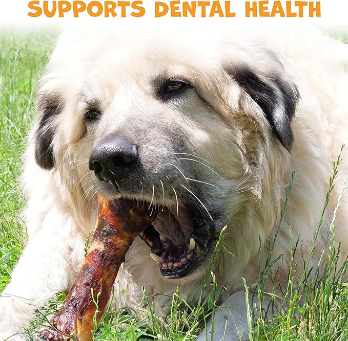 Beef Shin Bones for Dogs - Liver Coated Long Lasting Dog Chews for Aggressive Chewers - Rawhide-Free Big Bones for Large Dogs - Healthy Large Dog Bone (2 Pack)