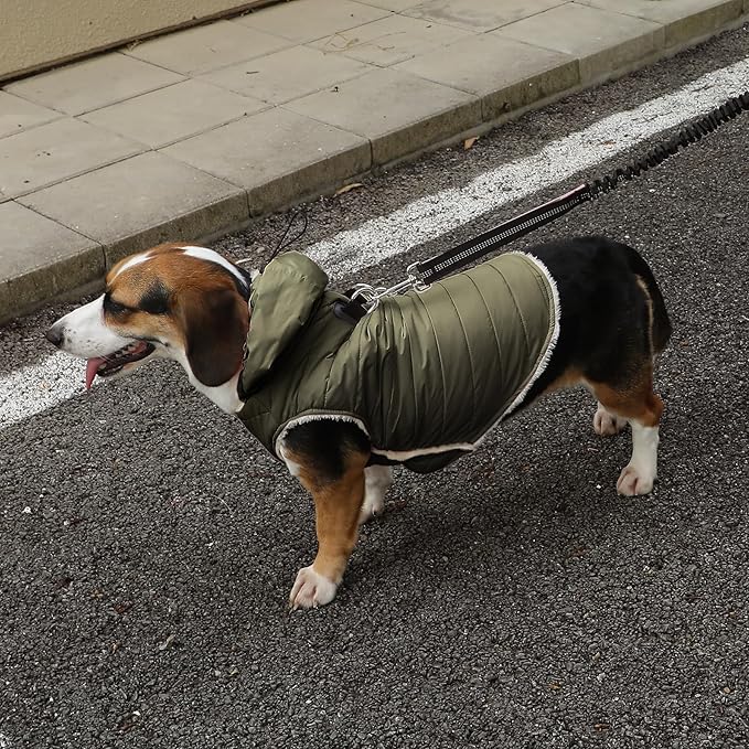 Fleece Lining Dog Hoodie with Harness Built in,Extra Warm Medium Dog Jacket in Winter Doggie Coats with Drawstring Hooded,Green L