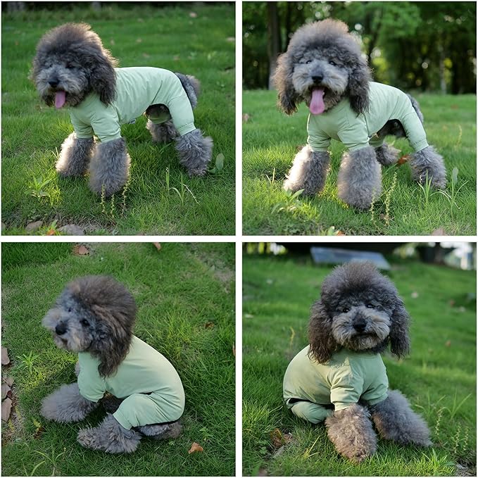 LoveLongLong Dog Jumpsuit with UV Protection and Quick-Dry Fabric for Spring Summer Pet Pajamas Light Green M