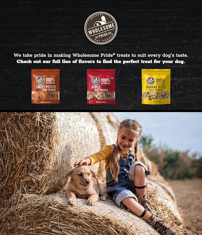 Wholesome Pride Sweet Potato Fries All-Natural Single Ingredient Dog Treats, 32 Oz