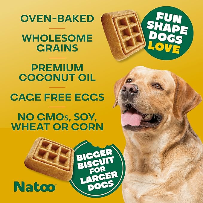 NATOO Dog Treats for Large Breed, Crunchy Biscuits Oats Banana and Honey, Natural Dog Treats, Rich in Omega 6, Prebiotics and Fiber, Antioxidants for Immunity, 8oz