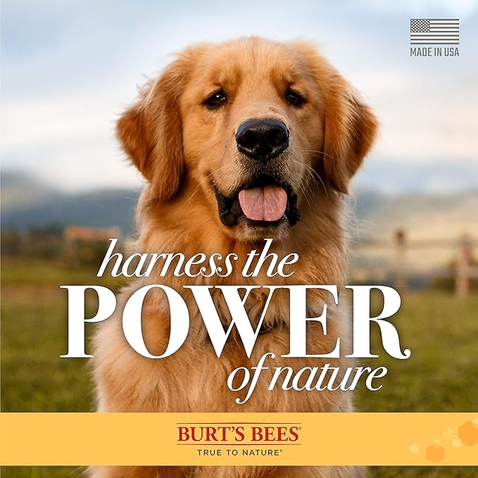 Burt's Bees for Pets Multipurpose Dog Wipes with with Honey, 98% Natural Origin Formulas, Hypoallergenic Dogs Wipe, Canine Cleaning Sheets for Paws and Butt, 2pk, 50ct