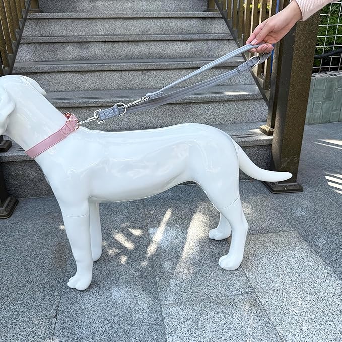 Double Ended Dog Leash,for Obedience Training Easy to Use,Lightweight,Soft for Large and Medium Dogs (Grey, 1M*2.5CM)