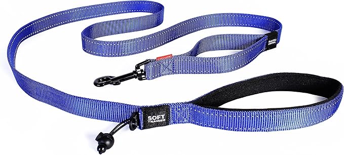 EzyDog Soft Trainer Dog Leash with Traffic Control Handle - Reflective Stitching for Nighttime Safety and Superior Strength and Comfortability for Training Large to Medium Dogs (72”, Blue)