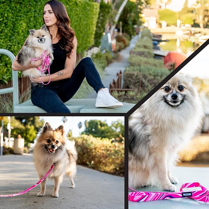 Wolfgang Heavy Duty Martingale Dog Collar with Quick Release Nylon Buckle for Walking & Training, MarbleSwirl Print, Medium