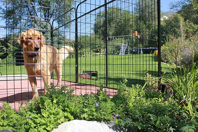 Dog Feeding & Watering Swivel Bowl Bracket & Metal Bowls