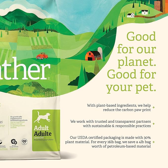 GATHER Endless Valley, Plant-Based, Grain-Free Dry Dog Food, Vegan Adult Recipe with Non-GMO Ingredients, 16 lb Bag