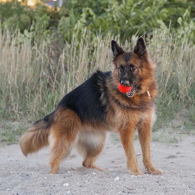 Chew King Flavored Rubber Ball Collection, 4 Inch Beef Flavor Rubber Fetch Balls 2-Pk