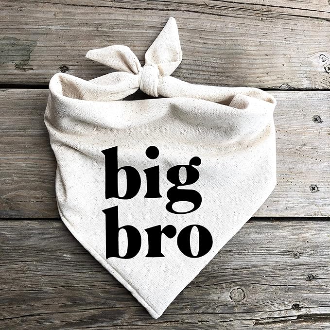 Big Bro Dog Bandana Pregnancy Announcement Baby Announcement to Grandparents (Large)