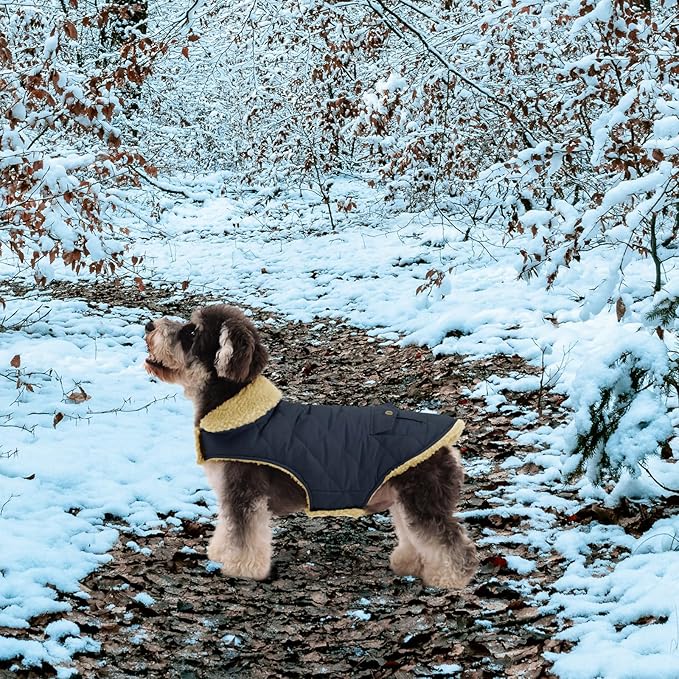 Queenmore Warm Dog Coat, Cold Weather Puffer Dog Jacket with Ultra Thick Plush Lining, Storage Pockets (Green, Large)