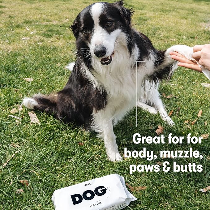DOG by Dr. Lisa - Dog Wipes - Plant-Based, Natural Bathing Wipes for Dogs - Made from 100% Compostable Bamboo - Vet-Created - Vegan, Non-Toxic - 80 Count