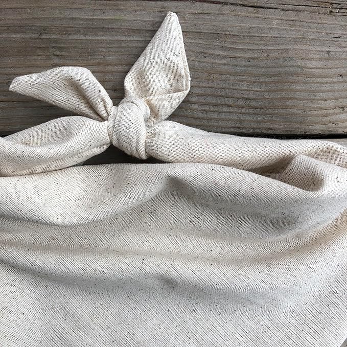 Big Bro Dog Bandana Pregnancy Announcement Baby Announcement to Grandparents (X-Small)