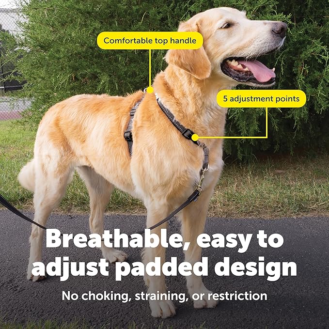 PetSafe 3-in-1 Harness - Comfortable Easy-Walk Dog Chest Harness with Front Leash Attachment to Reduce Pulling, Choking & Gagging - Dog Obedience Gear - Large - Black