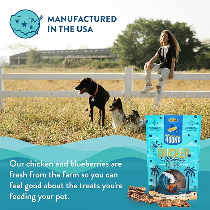 Just Chicken & Blueberry Chips | Two Premium Ingredient & Healthy Dog Treats Rich in Antioxidants | All Natural Canine Rewards | All Breed Sizes Dog Training Treats | Made in USA - 3oz