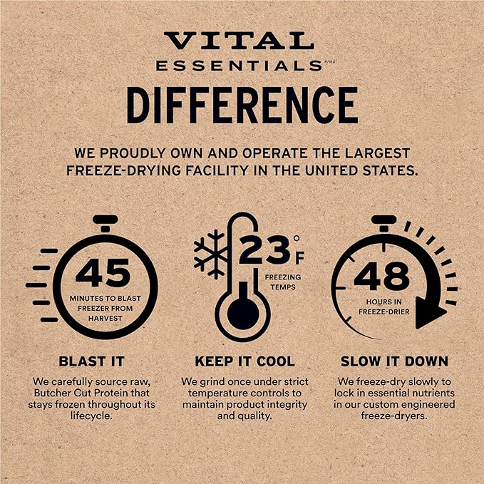 Vital Essentials Salmon Bites Cat Treats, 1.1 oz | Freeze-Dried Raw | Single Protein | Grain Free, Gluten Free, Filler Free