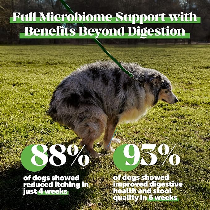 Max Strength Probiotics for Dogs - Super Pooper Dog Stool Hardener with Fiber & Digestive Enzymes, Reduce Occasional Diarrhea for Firm Perfect Poops (90 Ct)