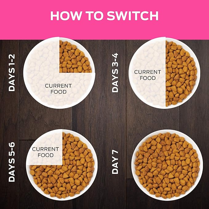 Purina Pro Plan Veterinary Diets UR Urinary St/Ox Feline Formula Dry Cat Food - 6 lb. Bag