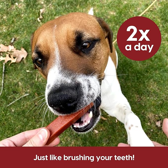 ARK NATURALS Protection+ Brushless Toothpaste, Dog Dental Chews for Large Breeds, Prevents Plaque & Tartar, Freshens Breath, 54oz, 1 Pack, Red, 54 Ounce (Pack of 1)
