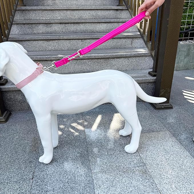 Double Ended Dog Leash,for Obedience Training Easy to Use,Lightweight,Soft for Large and Medium Dogs (Fuchsia, 1M*2.5CM)