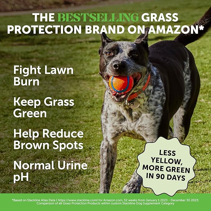 Grass Green Dog Chews - Urine Neutralizer for Lawn, Dog Pee Grass Helps Yard Stay Green Addressing Burn Spots with Probiotics & Enzymes (Turkey)