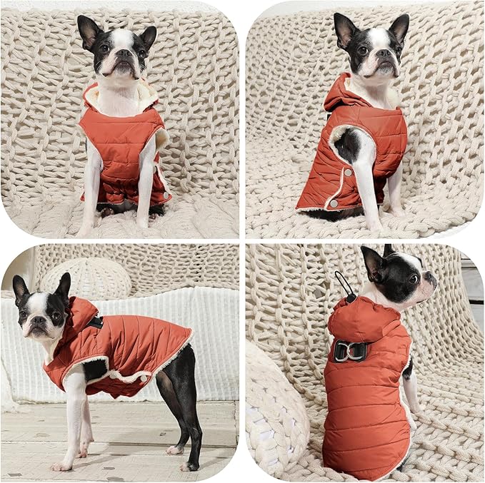 Fleece Lining Dog Hoodie with Harness Built in,Extra Warm Small Dog Jacket in Winter Puppy Coats with Drawstring Hooded,Orange XS