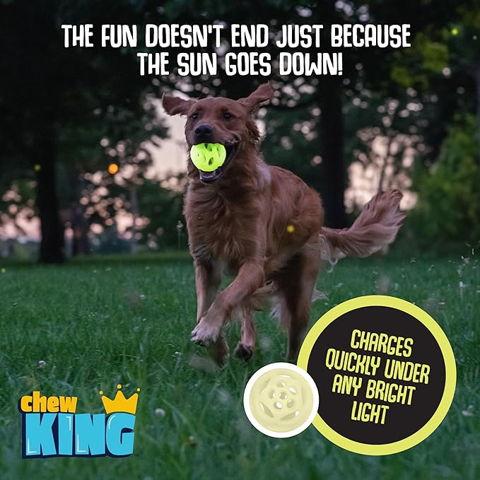 Chew King by Mammoth Glowing Fetch Ball, Dog Ball Toys, Medium 2-Pack Lattice