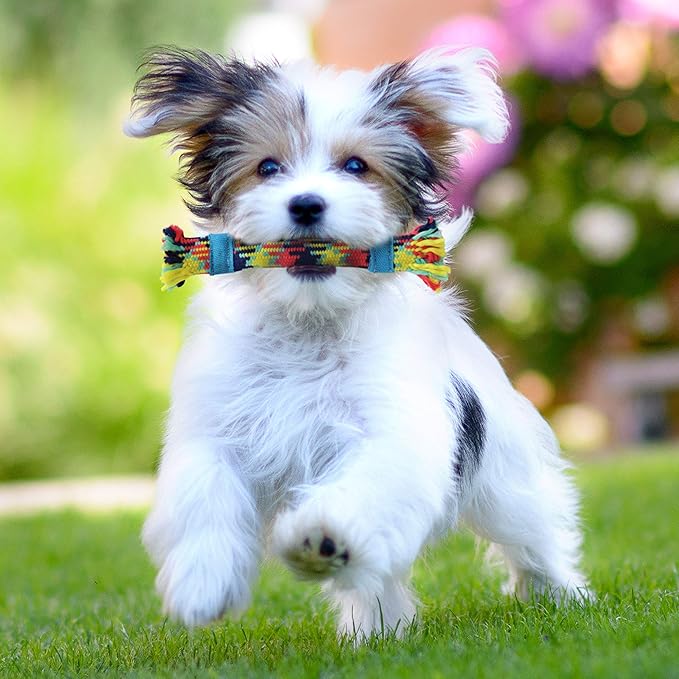 rocket & rex Dog Chew Toy Set for Small to Medium Breeds, Includes a Rope, Rubber Squeaker and Plush Toy with Ball, Reduces Destructive Chewing & Anxiety (Pack of 3)